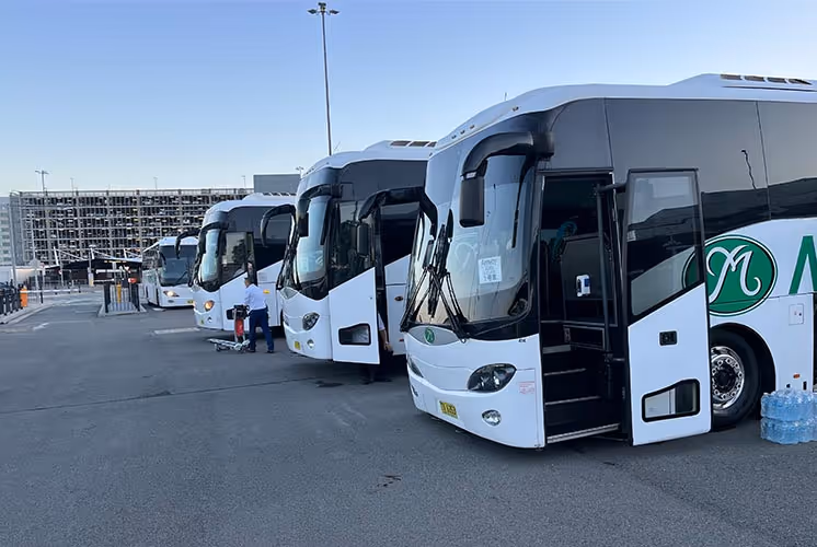 Murrays Coaches lined up alongside each other at an airport.